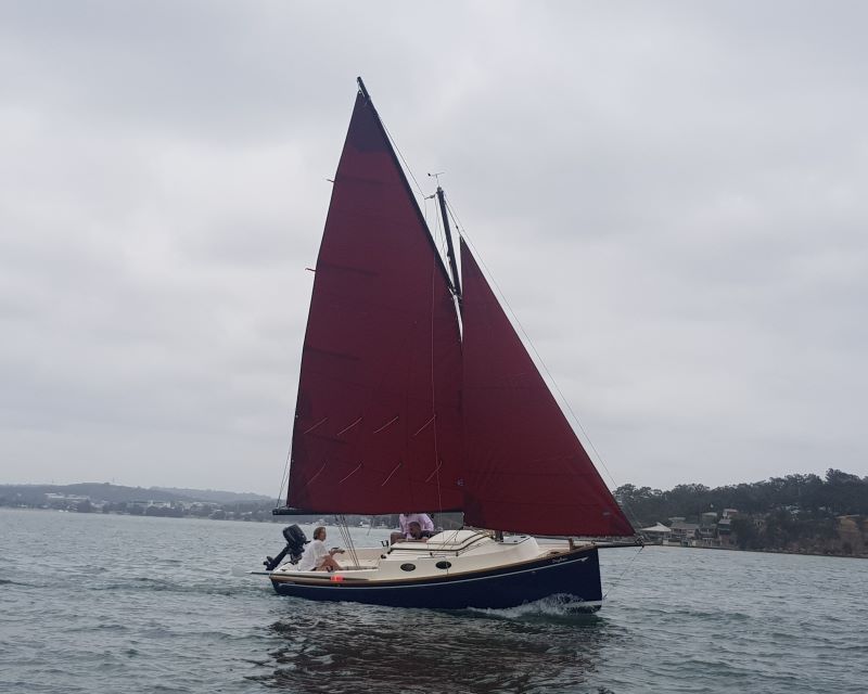 cygnet 20 sailboat for sale